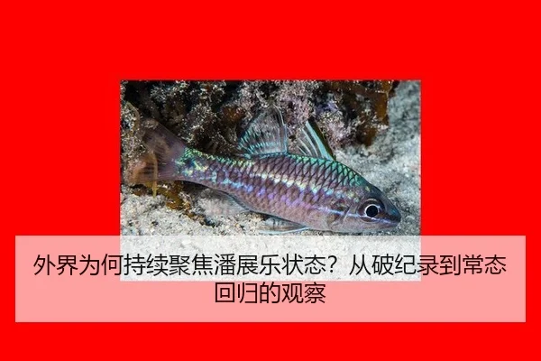 wai-jie-wei-he-chi-xu-ju-jiao-pan-zhan-le-zhuang-tai-cong-po-ji-lu-dao-chang-tai-hui-gui-de-guan-cha-1-910.jpg